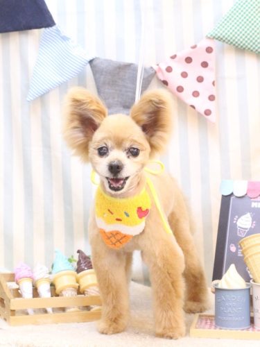 20250523クッキーくん